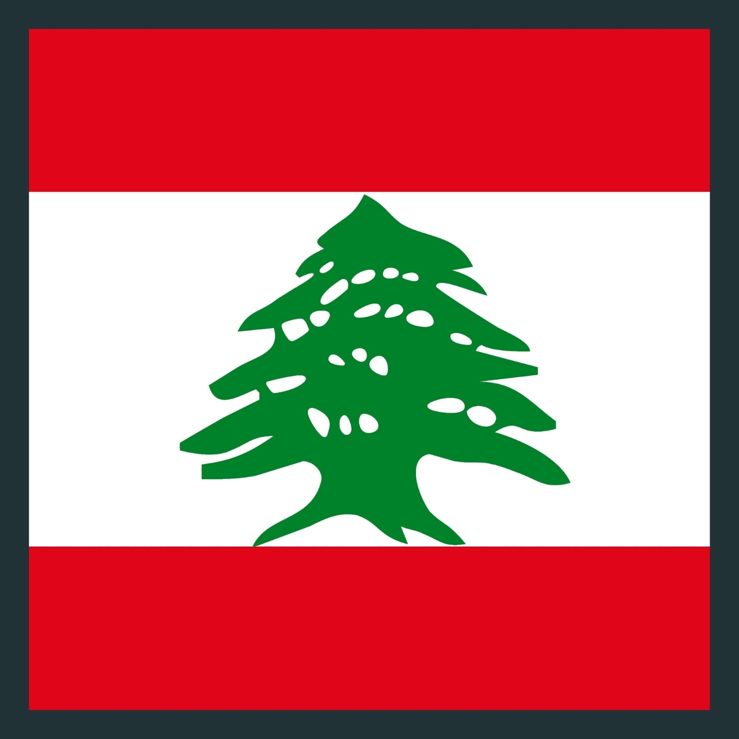 Lebanese CAMO Products