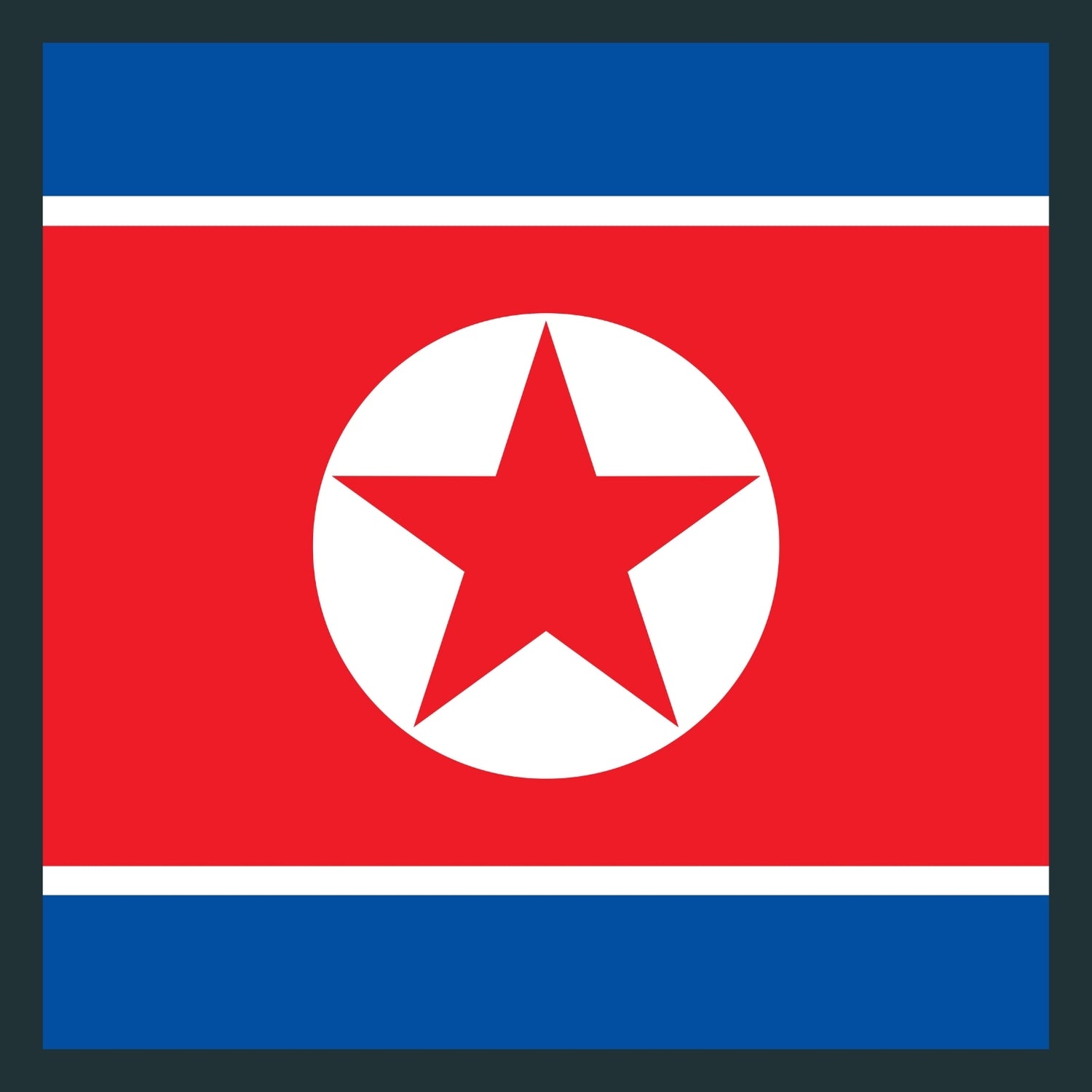 North Korean CAMO Products
