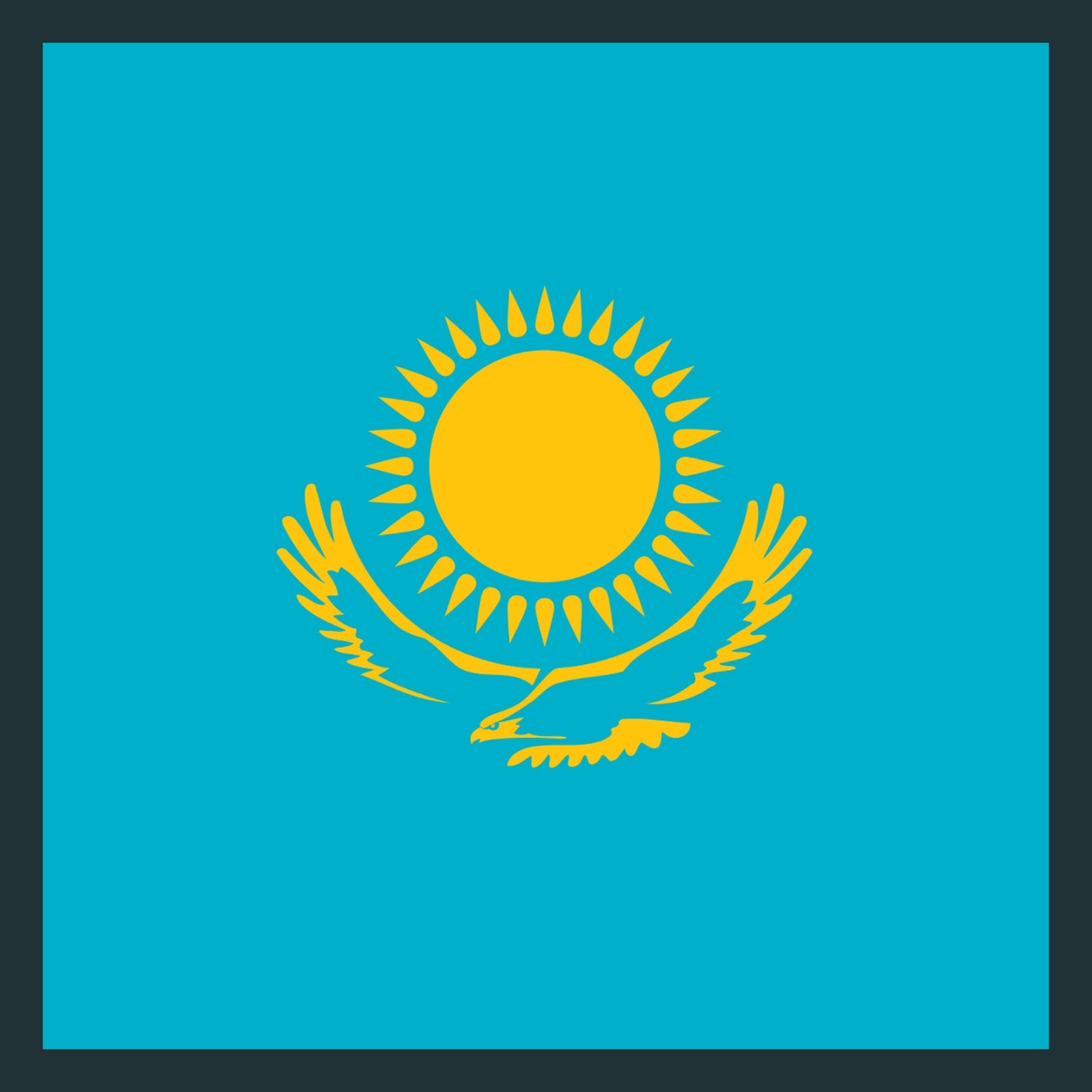 Kazakhstan CAMO Products