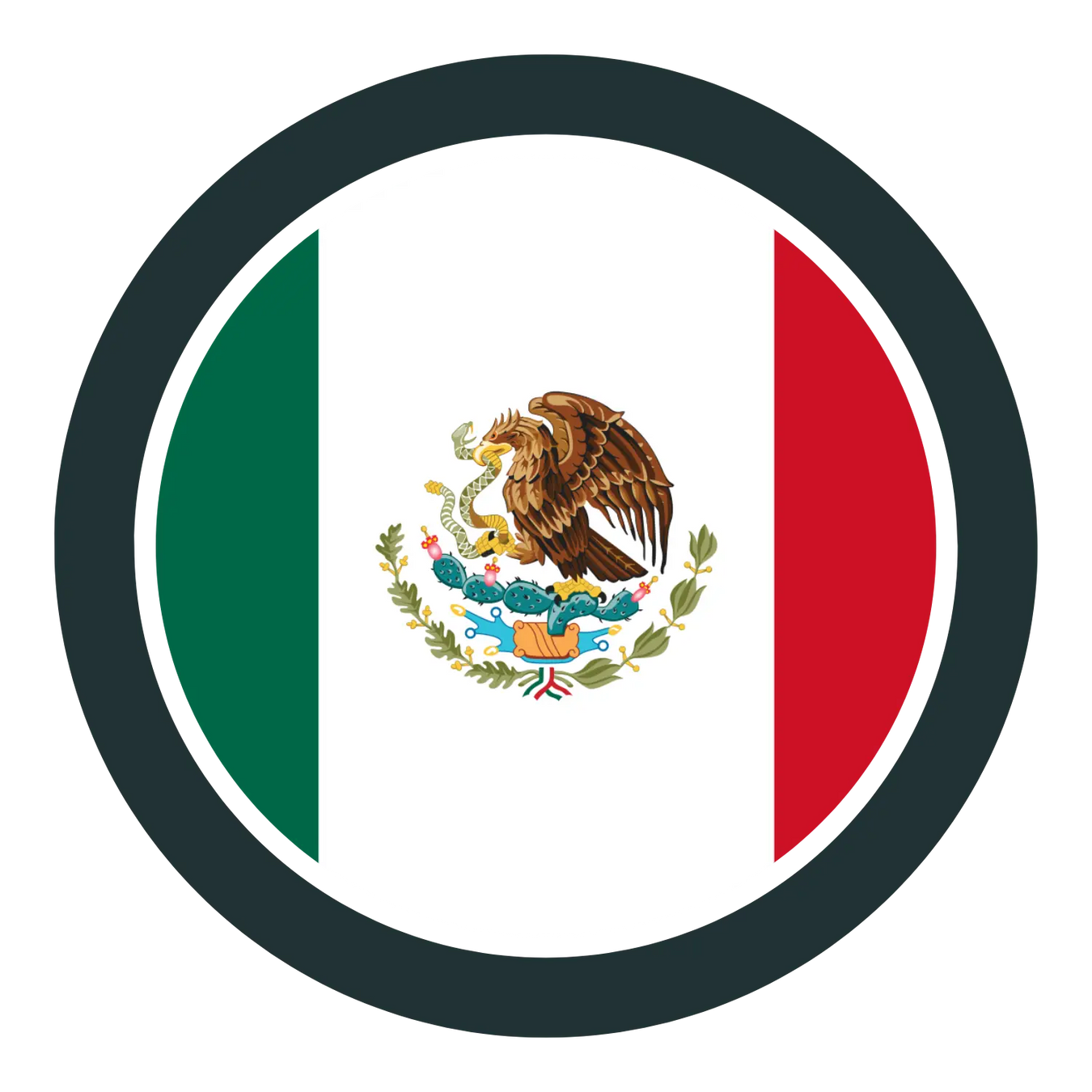 Mexican Influenced CAMO