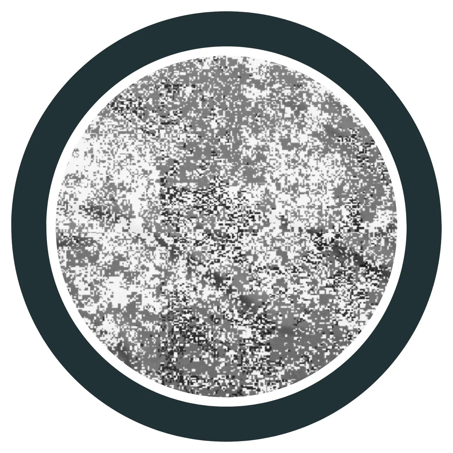 Russian EMR Digital Snow CAMO