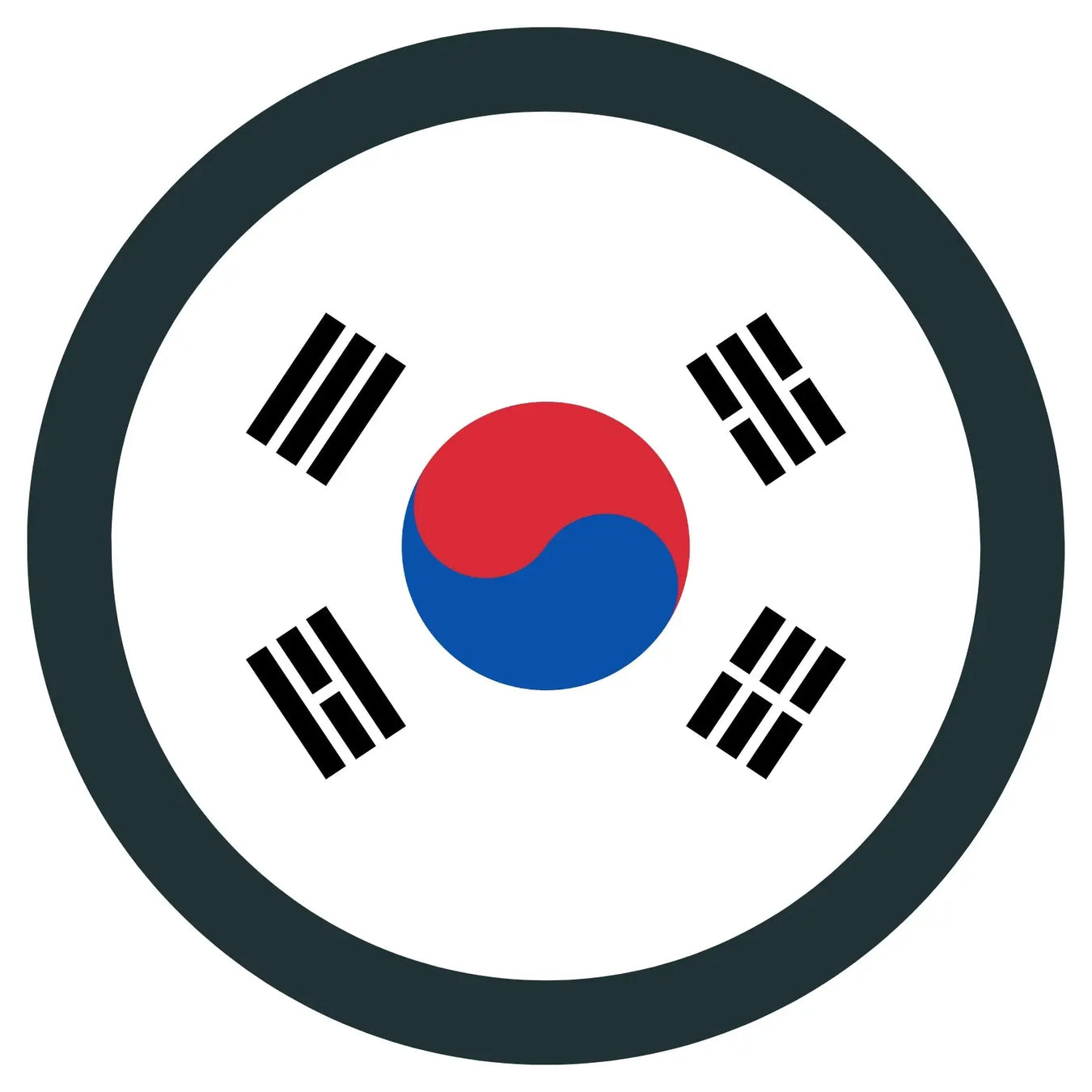 South Korean Influenced CAMO