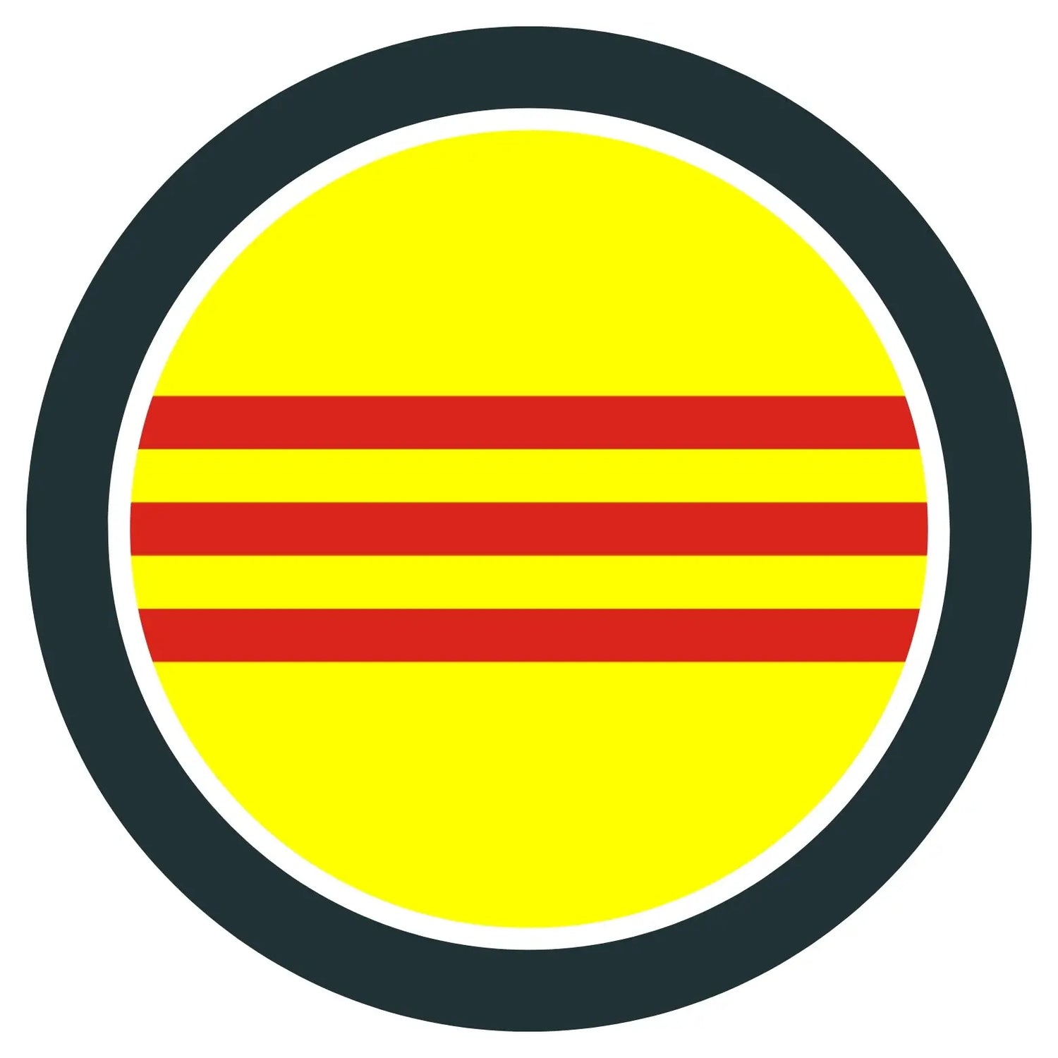 🇻🇳 South Vietnamese CAMO Products