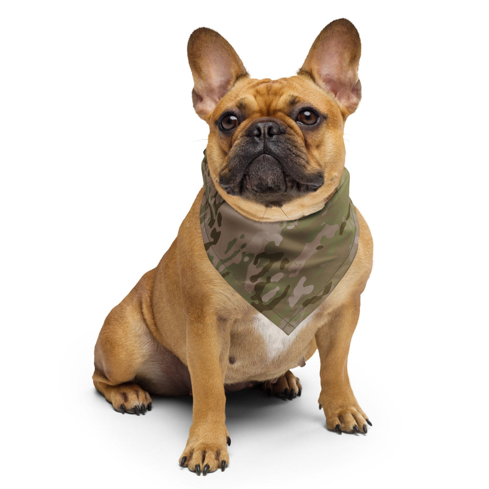 American Multi CAMO Arid bandana - S - Bandana