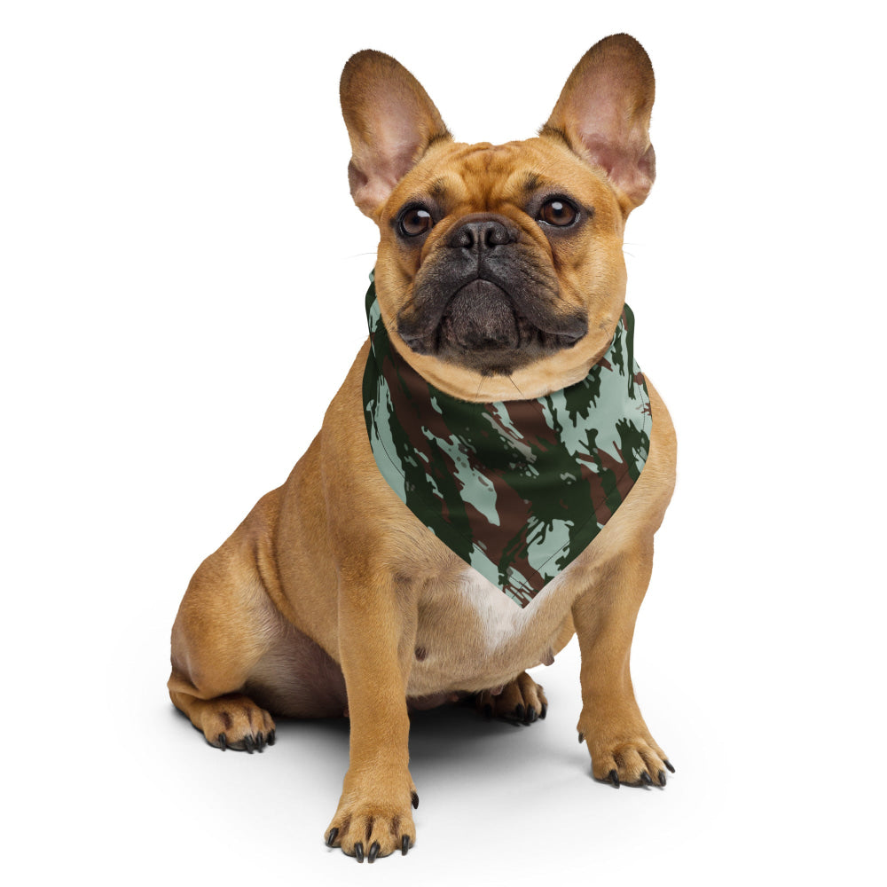 Brazilian Lizard CAMO bandana - S - Bandana