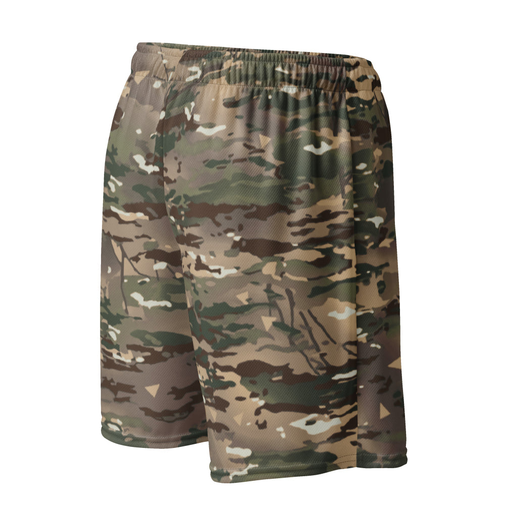 French Bariolage Multi Environnement (BME) CAMO Unisex mesh shorts - Mesh Shorts