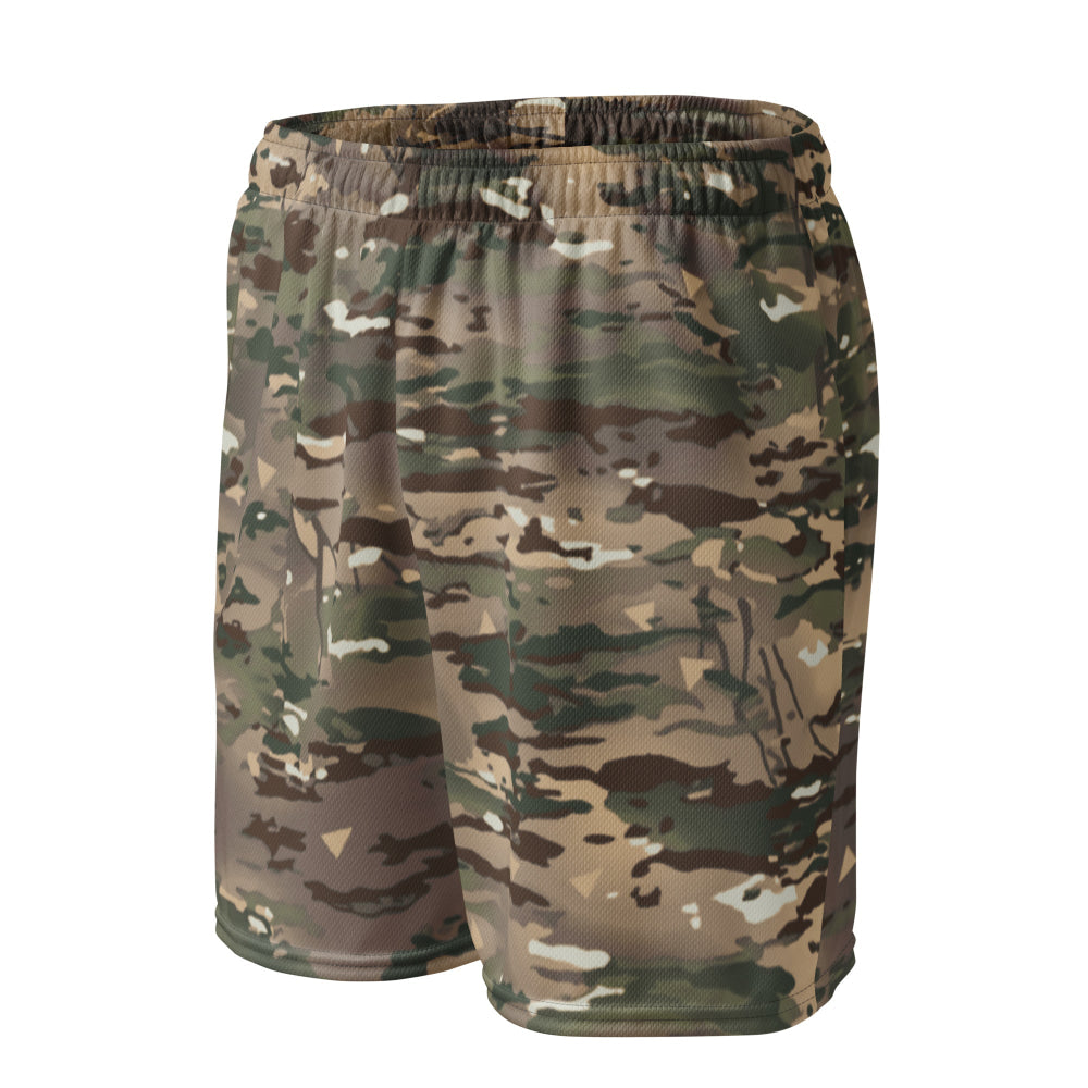 French Bariolage Multi Environnement (BME) CAMO Unisex mesh shorts - Mesh Shorts