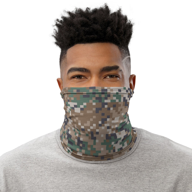 Digital Baltic Transitional CAMO Neck Gaiter - Head