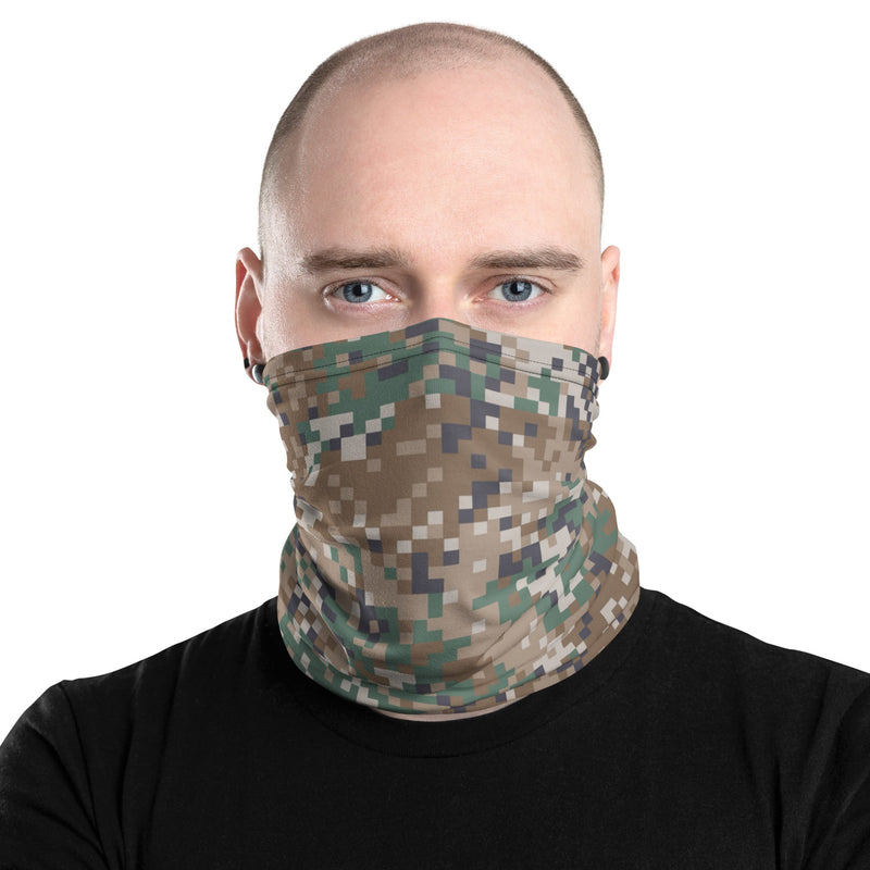 Digital Baltic Transitional CAMO Neck Gaiter - Head