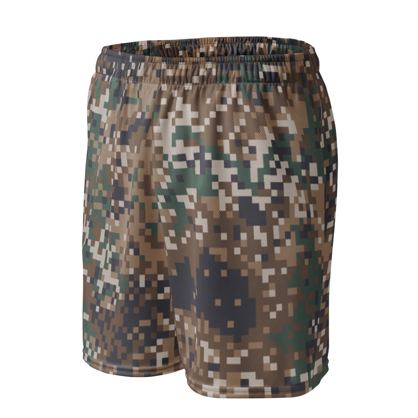 Latvian LATPAT CAMO Unisex Mesh Shorts