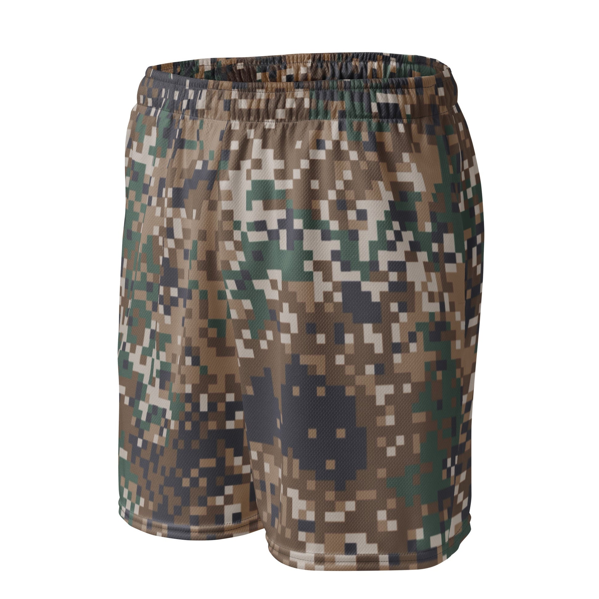 Latvian LATPAT CAMO Unisex Mesh Shorts