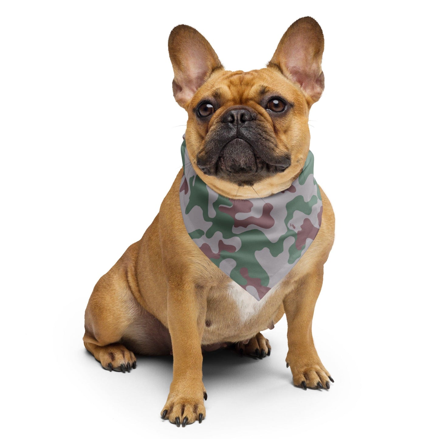 Lithuanian Three Color Amoeba CAMO bandana - S - Bandana