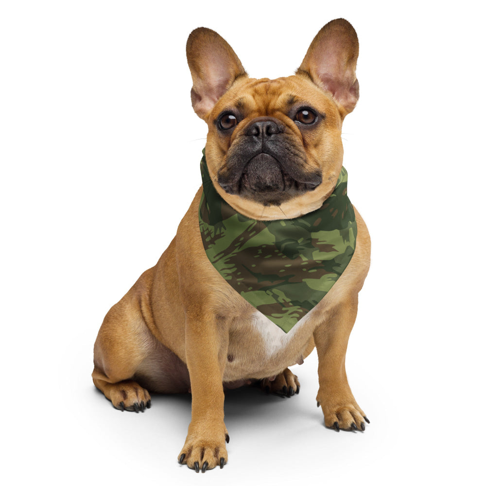 South African Transkei Wet Season CAMO bandana - S - Bandana